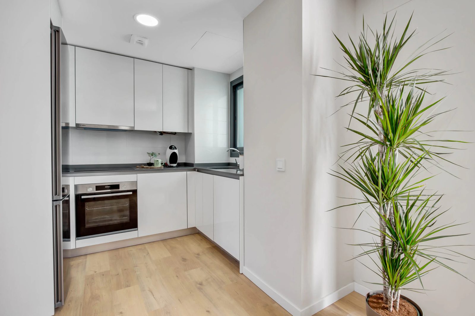 Apartments with Garage and Storage Included · Photo 9