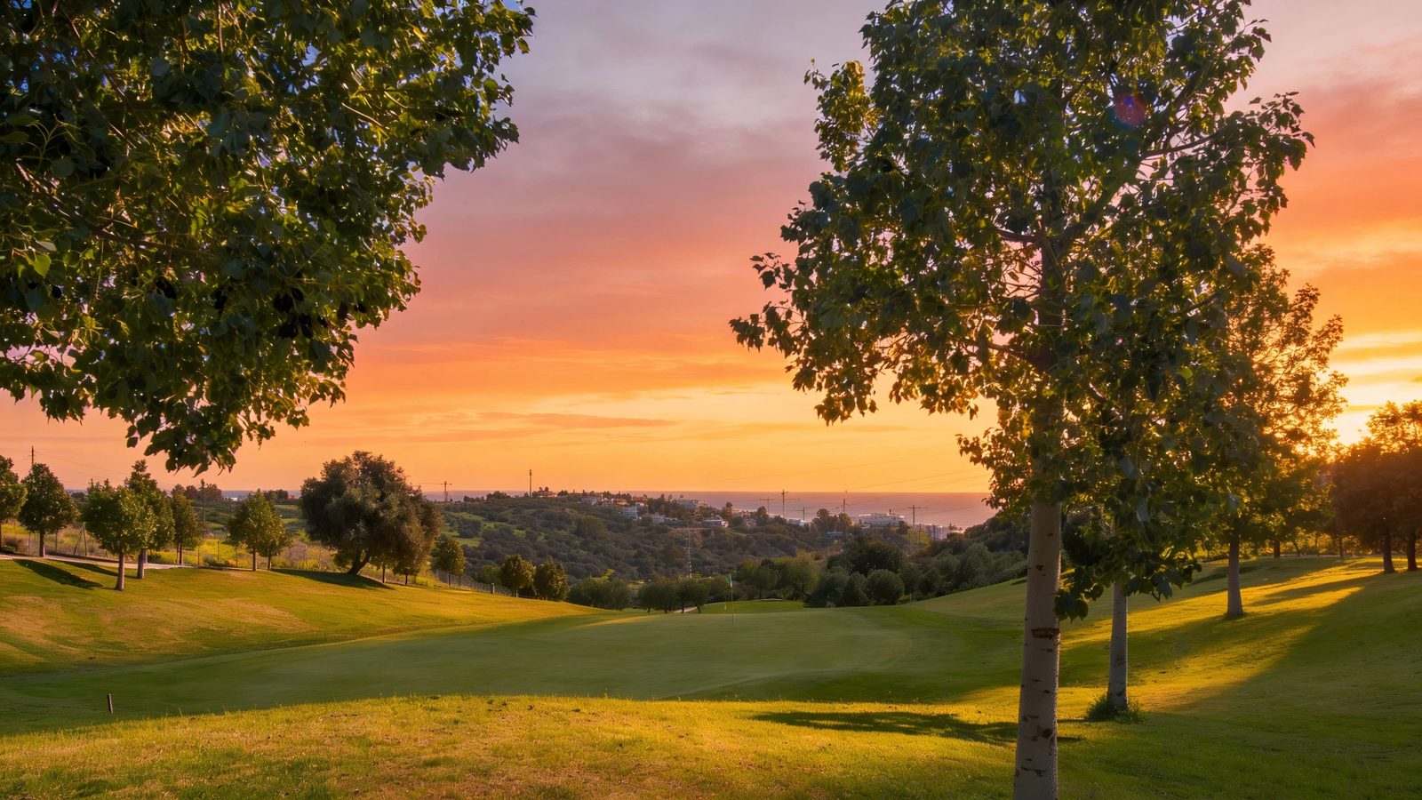 Villas with Golf and Sea Views · Photo 16