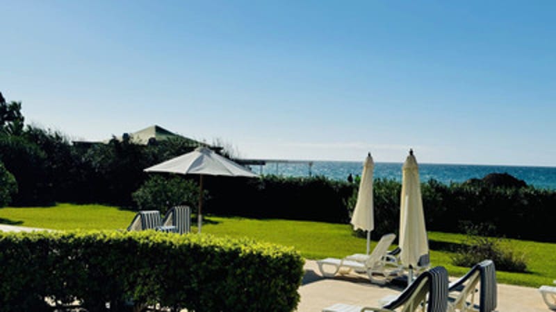 Ground Floor Apartment in Elviria